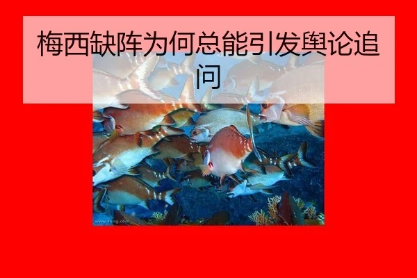 mei-xi-que-zhen-wei-he-zong-neng-yin-fa-yu-lun-zhui-wen-2-350.jpg